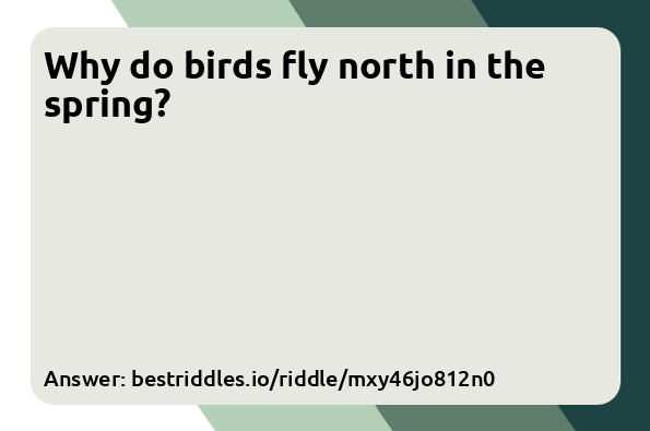 Why do birds fly north in the spring?