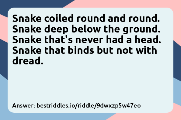 Snake coiled round and round. Snake deep...